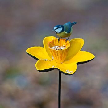 normal_cast-iron-daffodil-bird-feeder-garden-ornament